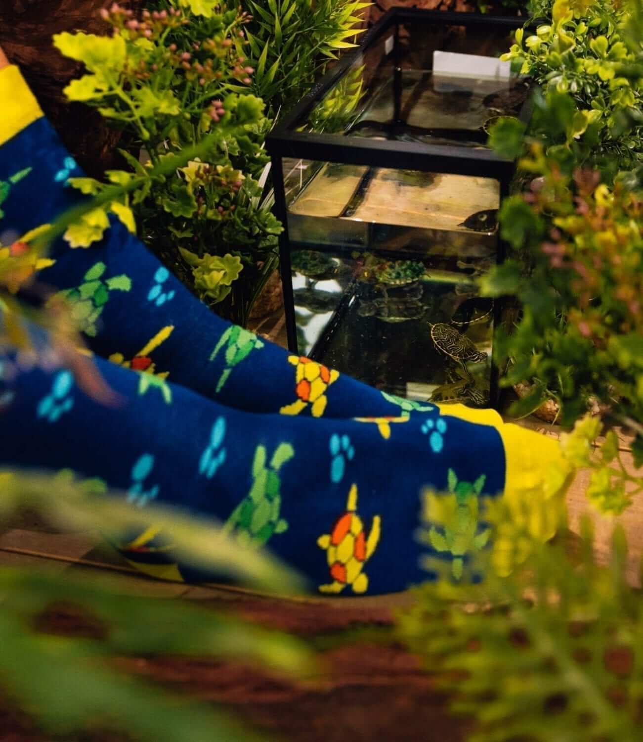 Juli 2019 – Chillpad Sok